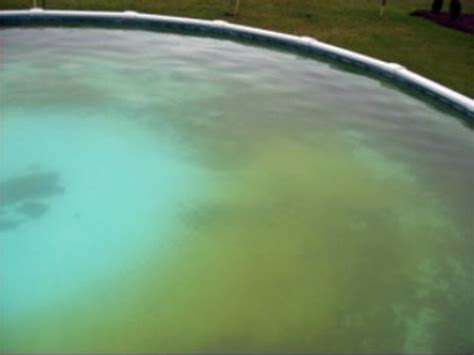 pool water turning yellow